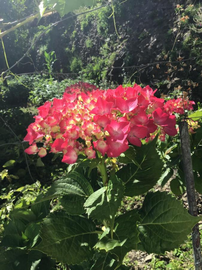 Finca Riolavar Jubrique ภายนอก รูปภาพ